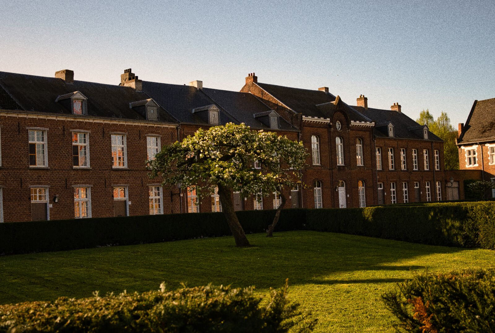 Backsteinhäuser im Abendlicht in Alkmaar